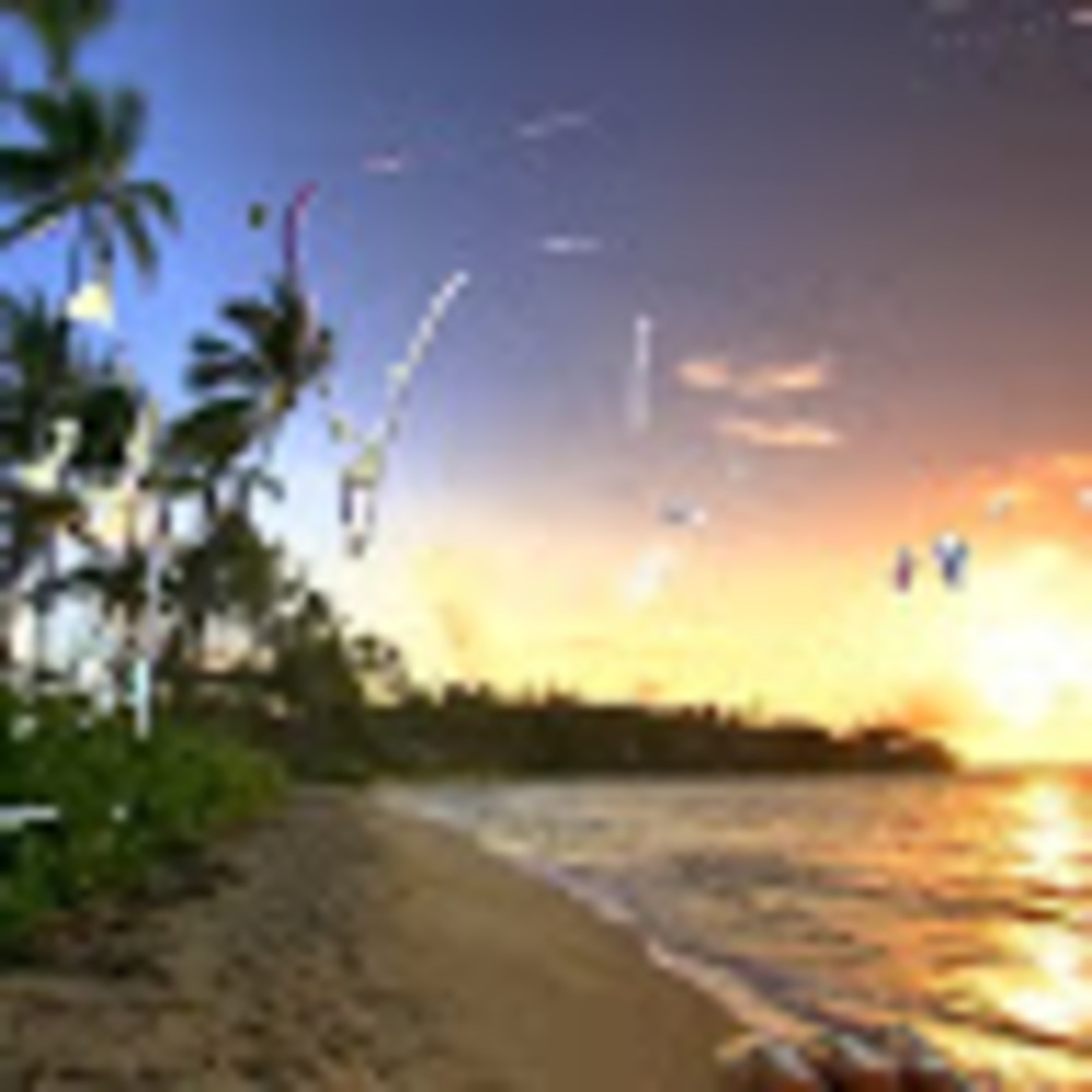 Meet your Posher, Senait